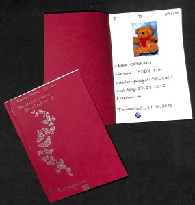 2015_03_27_18_52_380002