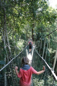 11.1-Canopy-Walk