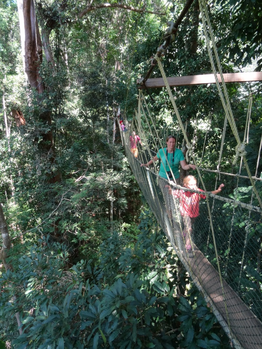 11.2-Canopy-Walk
