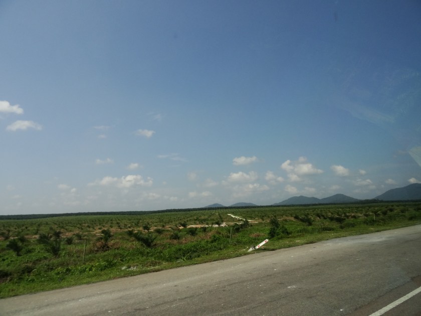 23.3-Plamölplantage