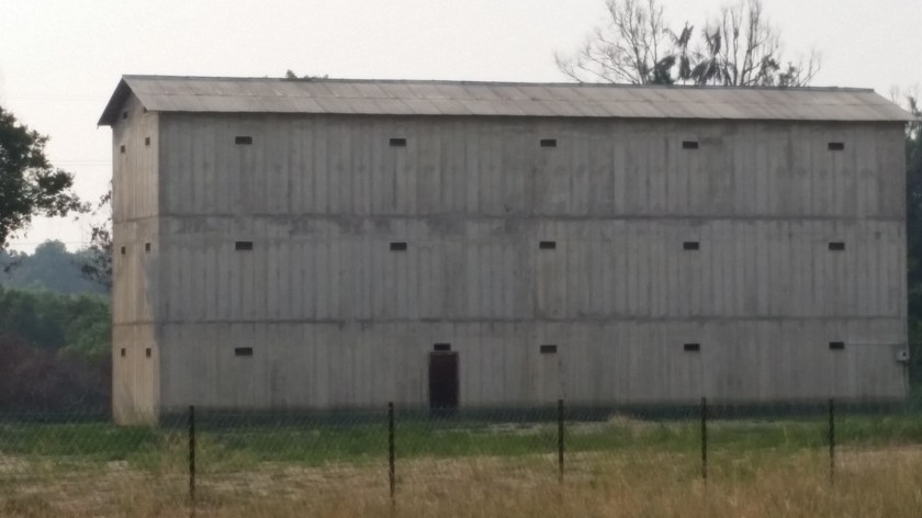 3.4-Fahrt-Schwalbenhäuser