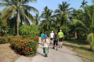 37.5-zurTurtleStation