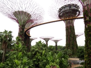 8.1-GardensByTheBay