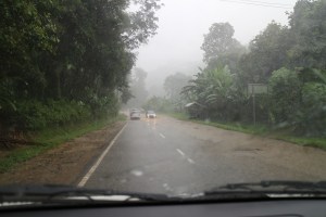 4.9-Regen-nach-Cameron-Highlands