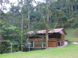 5.1-Rainforest-Resort